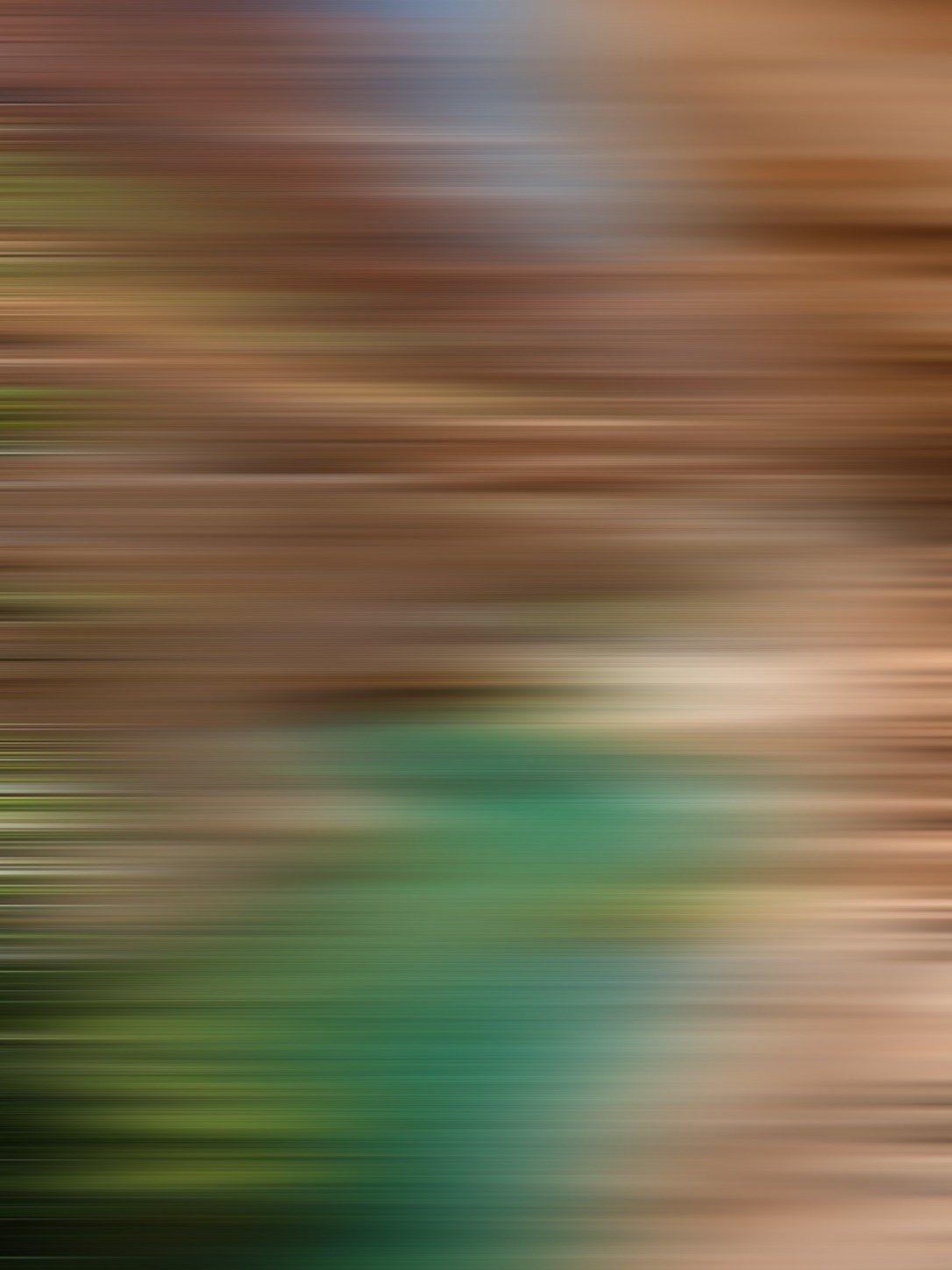 An abstract motion blur in green and earth